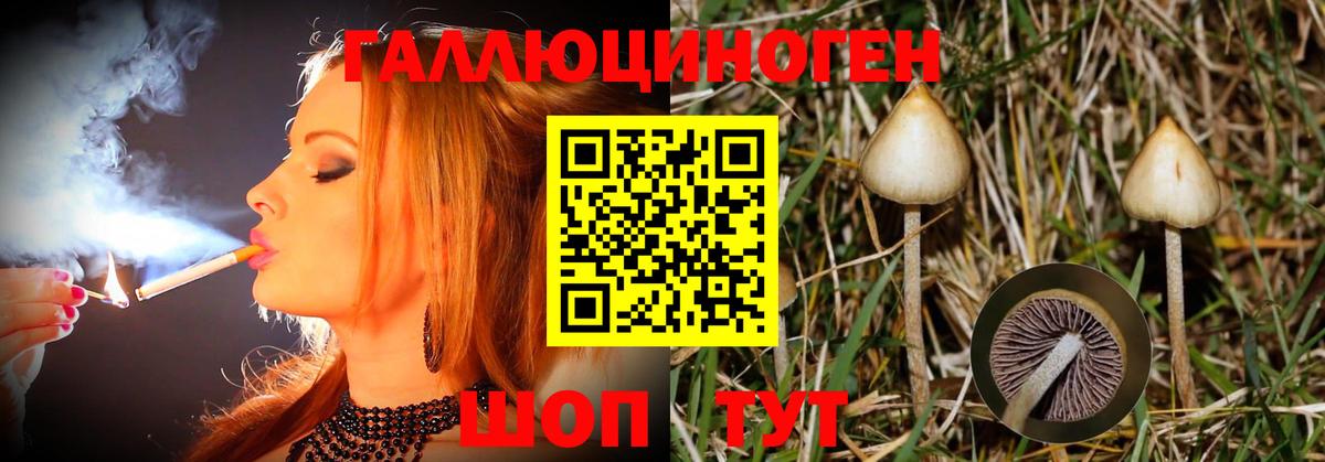 Мирный  Галлюциногенные грибы мухоморы  Вход с VPN 